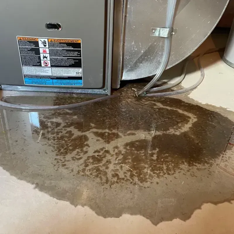 Appliance Leak Cleanup in Gervais, OR